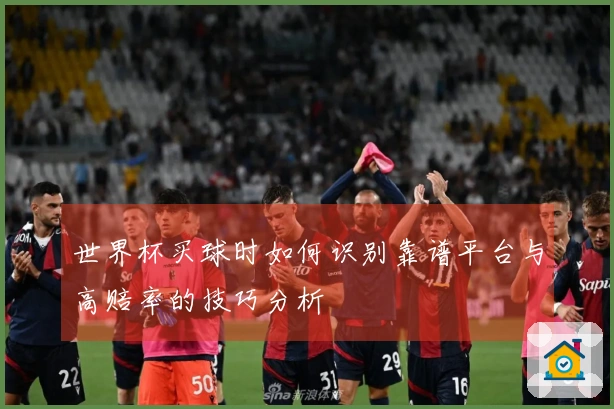 世界杯买球时如何识别靠谱平台与高赔率的技巧分析