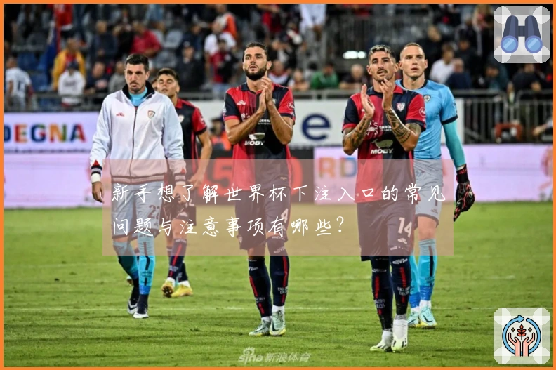 新手想了解世界杯下注入口的常见问题与注意事项有哪些？