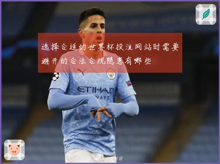 选择合适的世界杯投注网站时需要避开的合法合规隐患有哪些