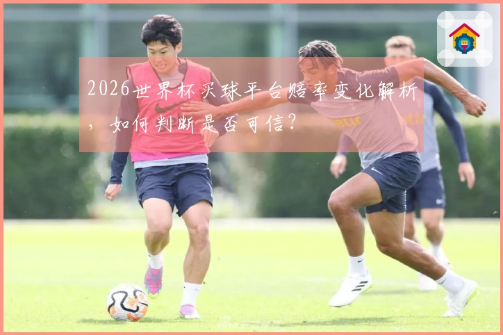 2026世界杯买球平台赔率变化解析，如何判断是否可信？