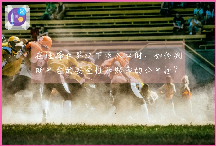 在选择世界杯下注入口时，如何判断平台的安全性和赔率的公平性？
