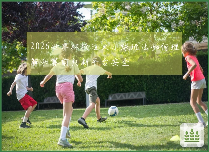 2026世界杯投注大小球玩法如何理解和赛前判断平台安全