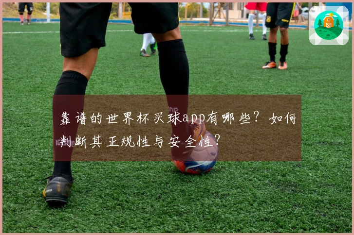 靠谱的世界杯买球app有哪些？如何判断其正规性与安全性？