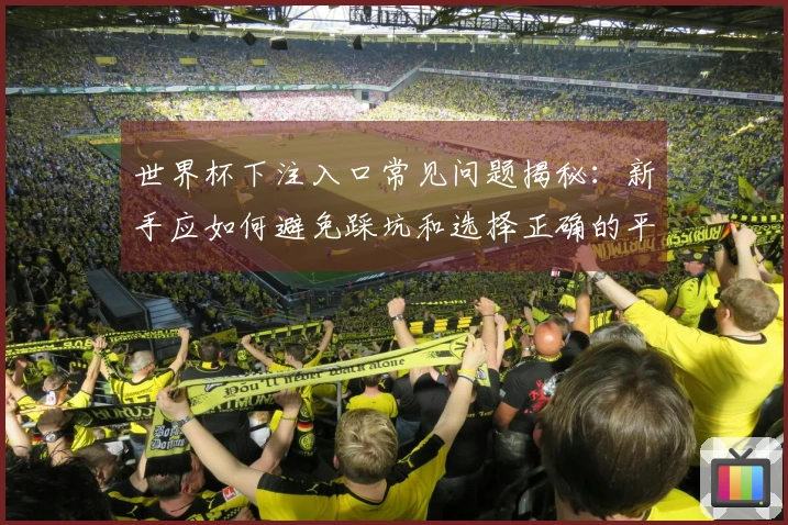 世界杯下注入口常见问题揭秘：新手应如何避免踩坑和选择正确的平台