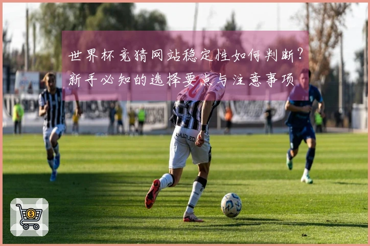 世界杯竞猜网站稳定性如何判断？新手必知的选择要点与注意事项