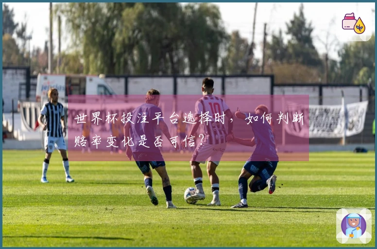 世界杯投注平台选择时，如何判断赔率变化是否可信？