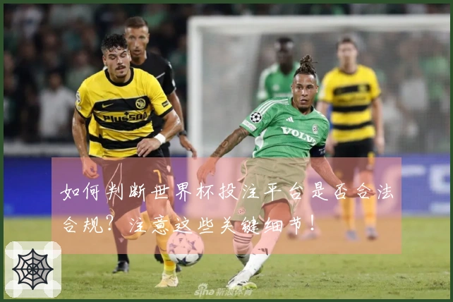 如何判断世界杯投注平台是否合法合规？注意这些关键细节！