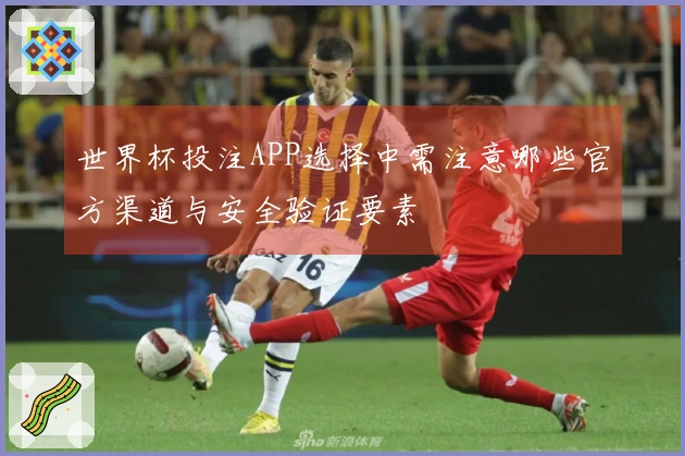 世界杯投注APP选择中需注意哪些官方渠道与安全验证要素