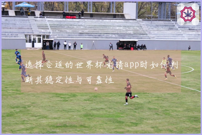 选择合适的世界杯竞猜app时如何判断其稳定性与可靠性