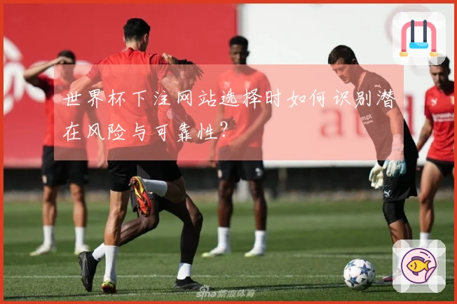 世界杯下注网站选择时如何识别潜在风险与可靠性？