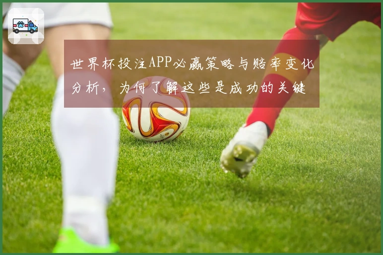 世界杯投注APP必赢策略与赔率变化分析，为何了解这些是成功的关键？