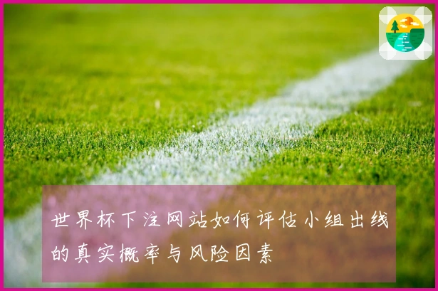 世界杯下注网站如何评估小组出线的真实概率与风险因素