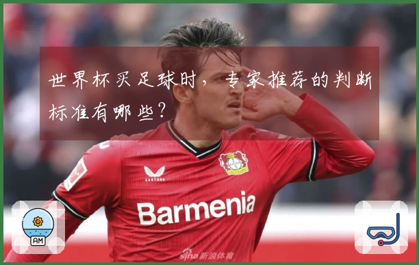 世界杯买足球时，专家推荐的判断标准有哪些？