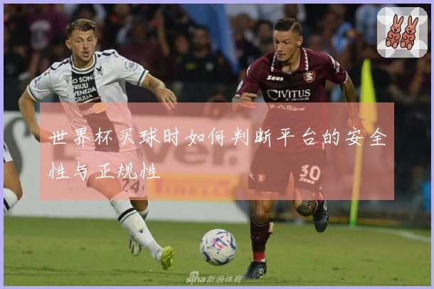 世界杯买球时如何判断平台的安全性与正规性