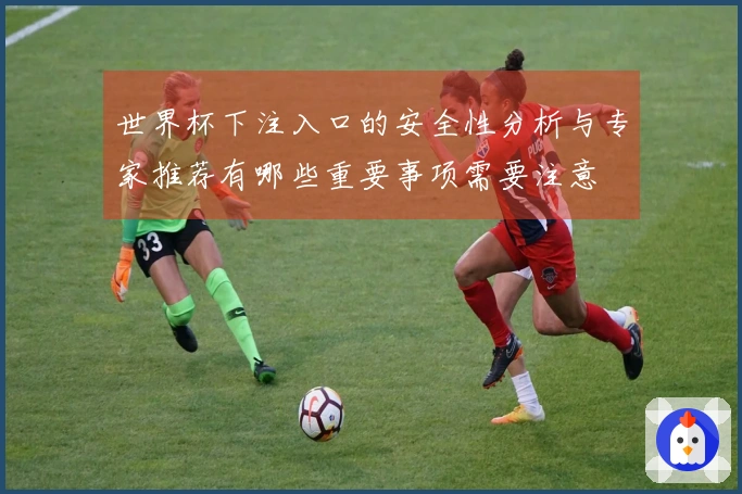 世界杯下注入口的安全性分析与专家推荐有哪些重要事项需要注意