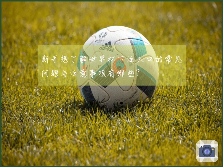 新手想了解世界杯下注入口的常见问题与注意事项有哪些？