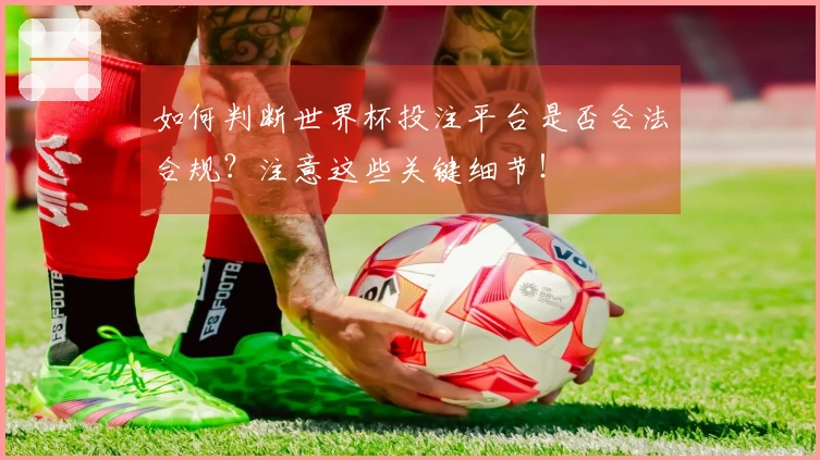 如何判断世界杯投注平台是否合法合规？注意这些关键细节！