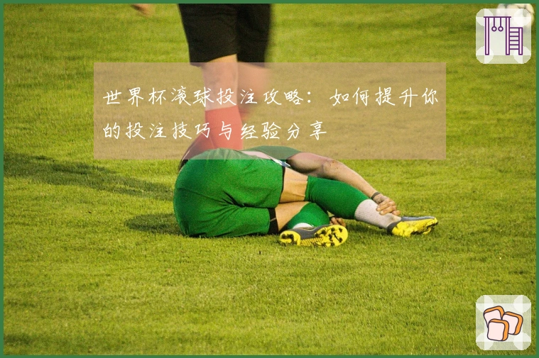 世界杯滚球投注攻略：如何提升你的投注技巧与经验分享