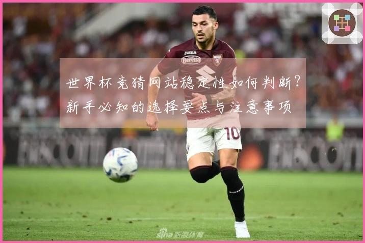 世界杯竞猜网站稳定性如何判断？新手必知的选择要点与注意事项