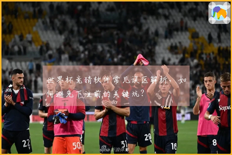 世界杯竞猜软件常见误区解析，如何避免下注前的关键坑？