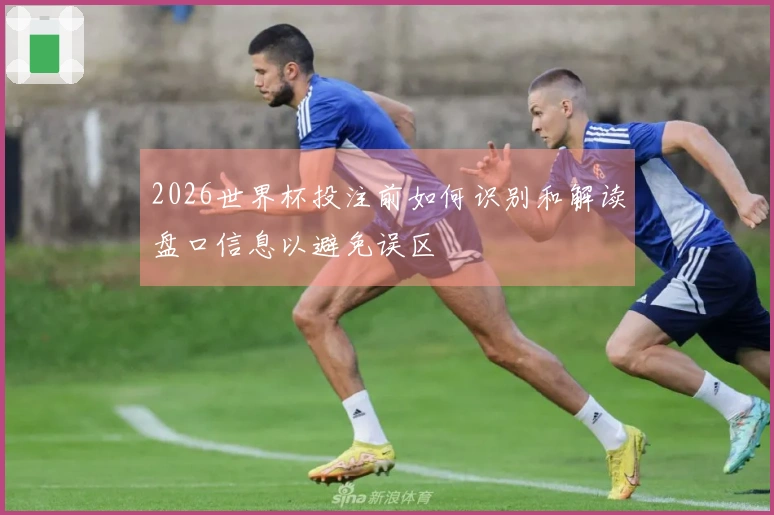 2026世界杯投注前如何识别和解读盘口信息以避免误区