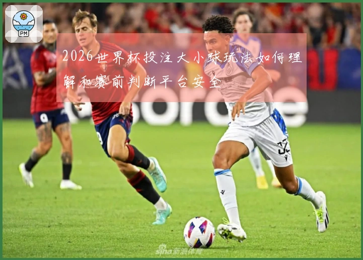 2026世界杯投注大小球玩法如何理解和赛前判断平台安全