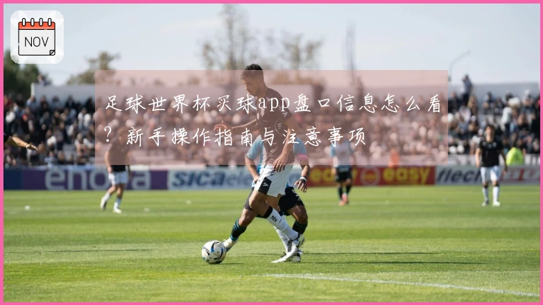 足球世界杯买球app盘口信息怎么看？新手操作指南与注意事项